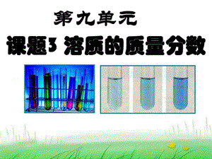 人教版化学九年级下册 第九单元 溶液 课题3 溶质的质量.ppt