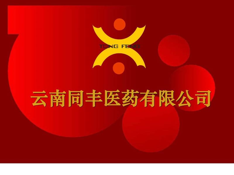 云南同丰医药有限公司.ppt.ppt_第1页