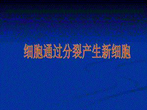 人教版七年级生物上册 第二章第一节《细胞通过分裂产生新细胞》 课件.ppt