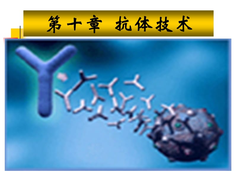 单克隆抗体技术.ppt_第1页