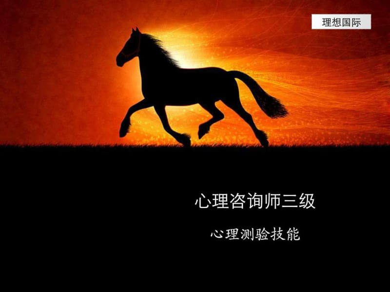 心理咨询师——心理测验技能二级.ppt_第1页