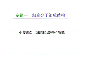 专题1 小专题02 细胞的结构和功能_1494923066.ppt