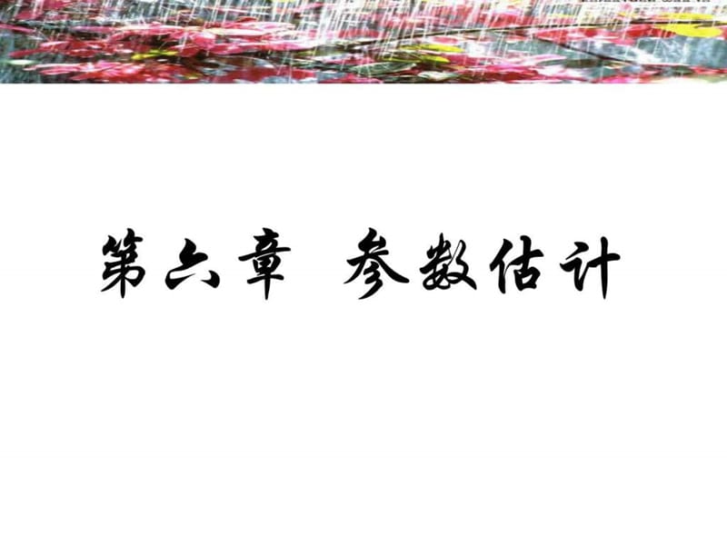 医药统计学 第六章 参数估计_图文.ppt.ppt_第1页