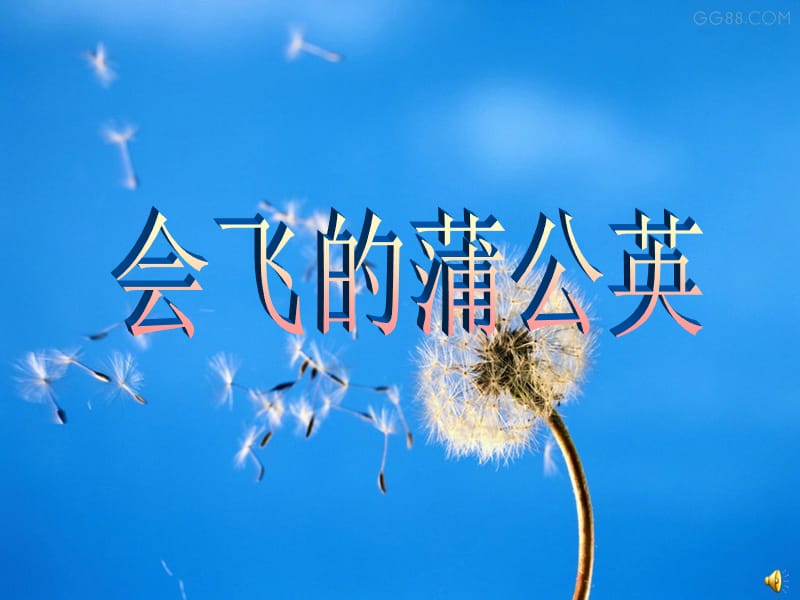 大学的林荫小道.ppt_第1页