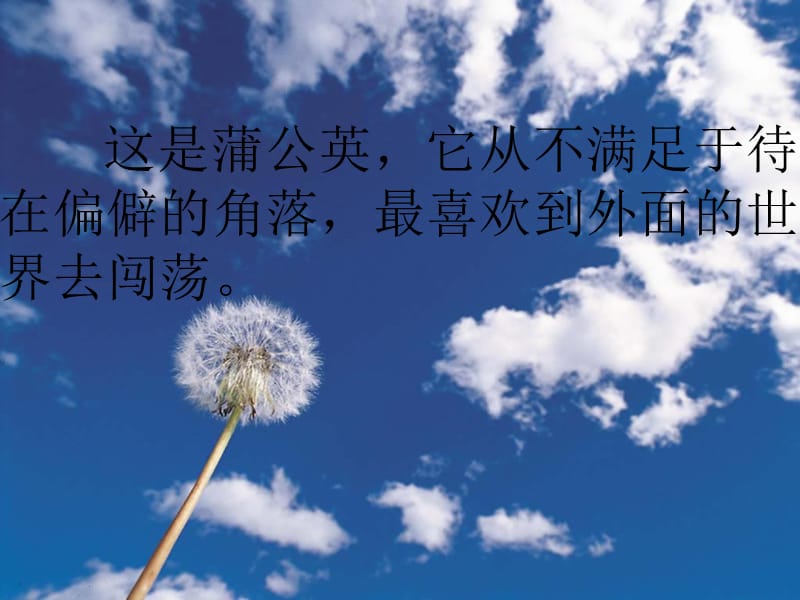 大学的林荫小道.ppt_第3页