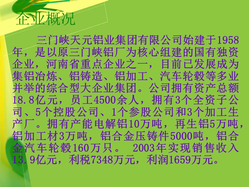 创造领先优势实现良好愿景.ppt_第3页