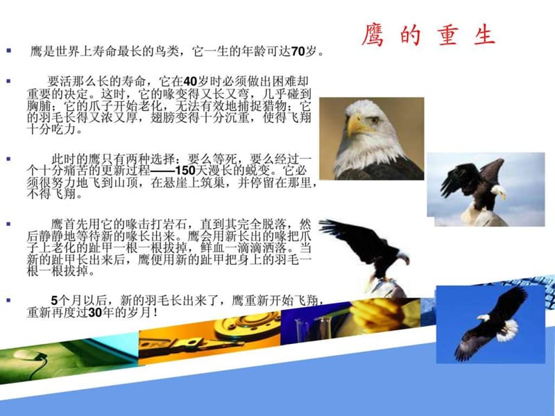 人力资源管理师三级《人员招聘与配置》课件.ppt_第2页