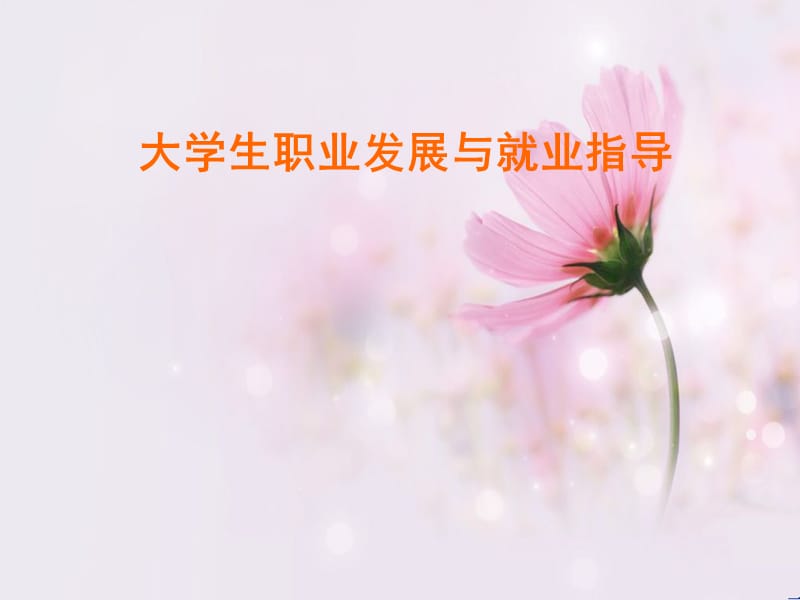 创业教育职场适应权益保护.ppt_第1页