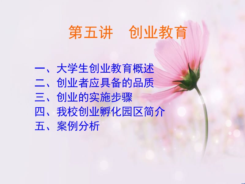 创业教育职场适应权益保护.ppt_第2页