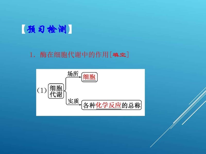 人教版2017年高中生物降低化学反应活化能的酶课件.ppt_第2页