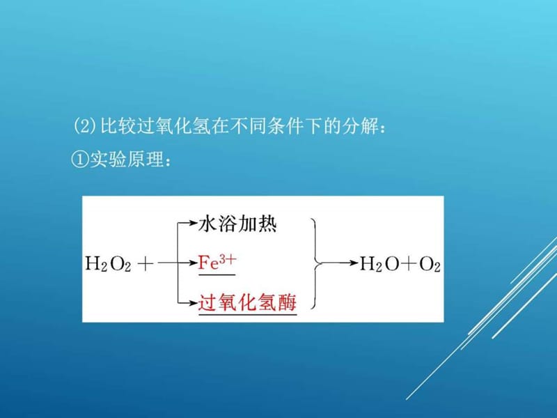 人教版2017年高中生物降低化学反应活化能的酶课件.ppt_第3页