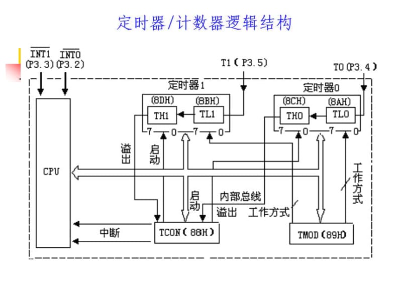 单片机学习第五章定时器与计数器第二讲.ppt_第3页