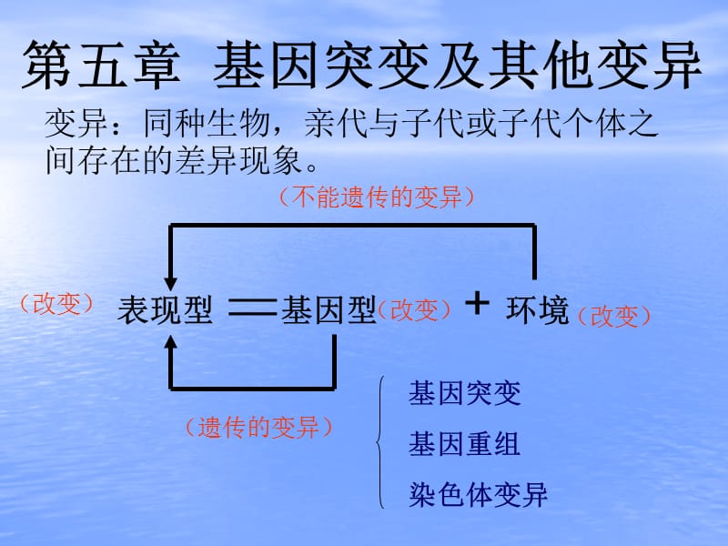 儋州市一中学许高育.ppt_第3页