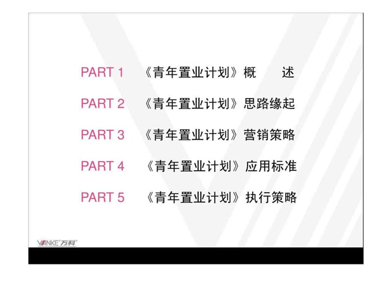 青年置业计划推广思路深化方案(PPT 65页).ppt_第2页