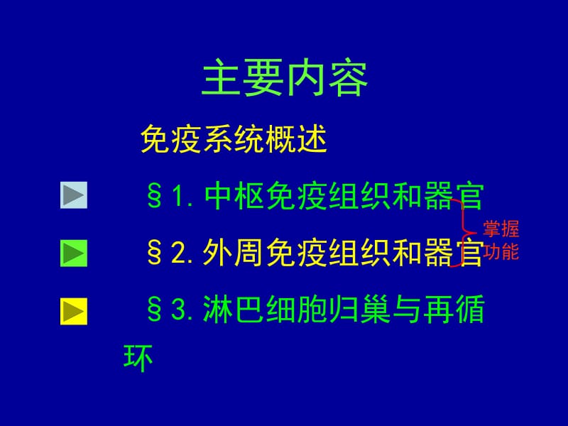 第02章免疫组织和器官.ppt_第2页