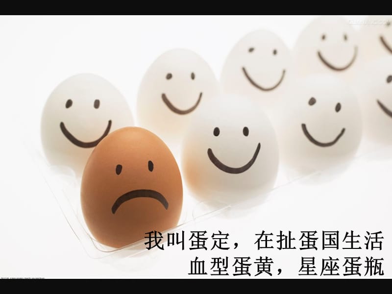 一个鸡蛋的故事1.ppt_第2页