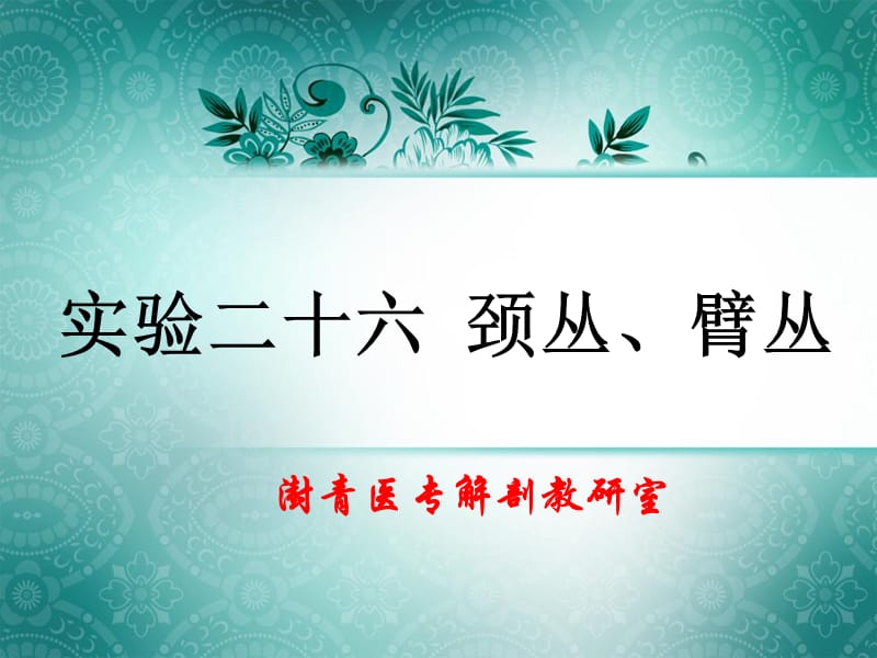 实验二十六颈丛、臂丛.ppt_第1页