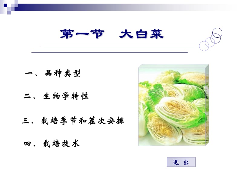 一节大白菜.ppt_第1页