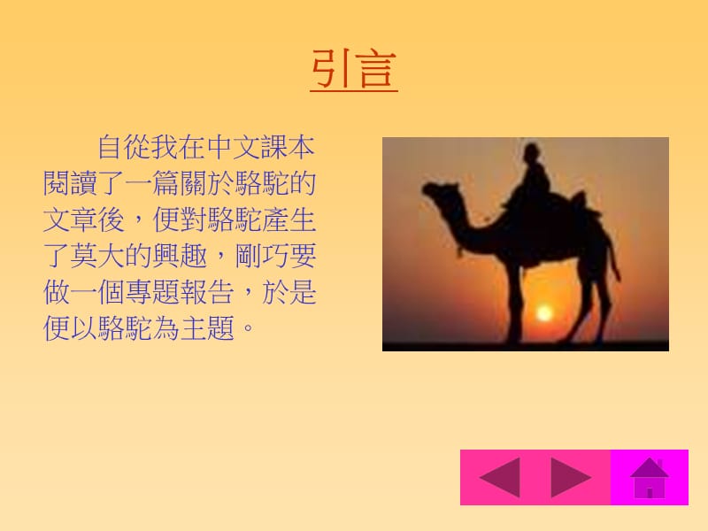 沙漠之舟骆驼.ppt_第3页