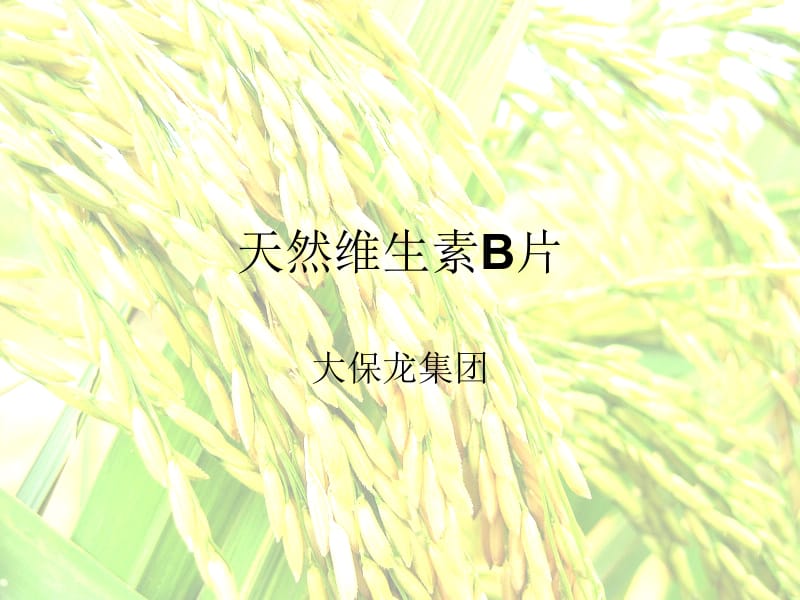 天然维生素B.ppt_第1页