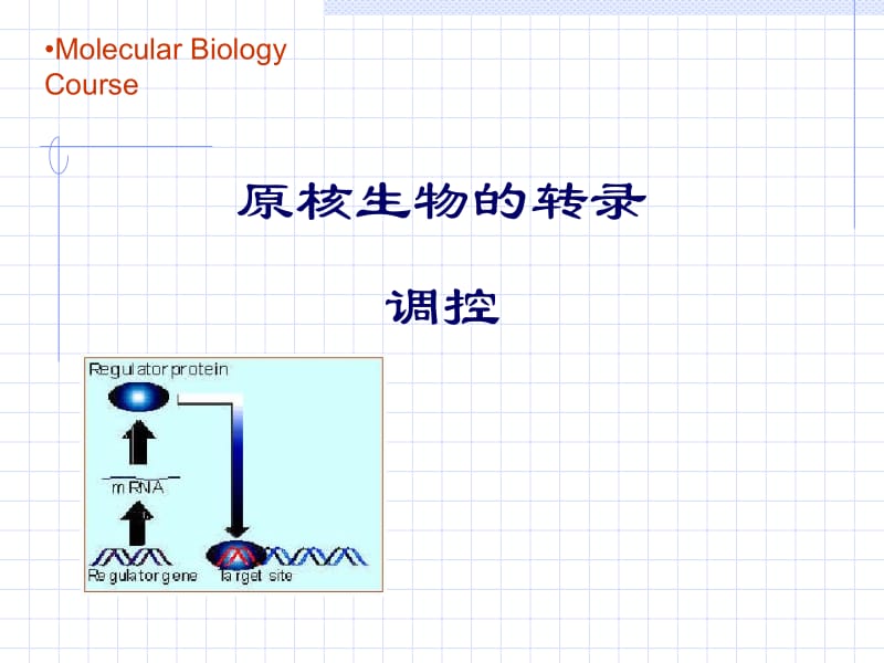 原核生物转录调控class.ppt_第1页