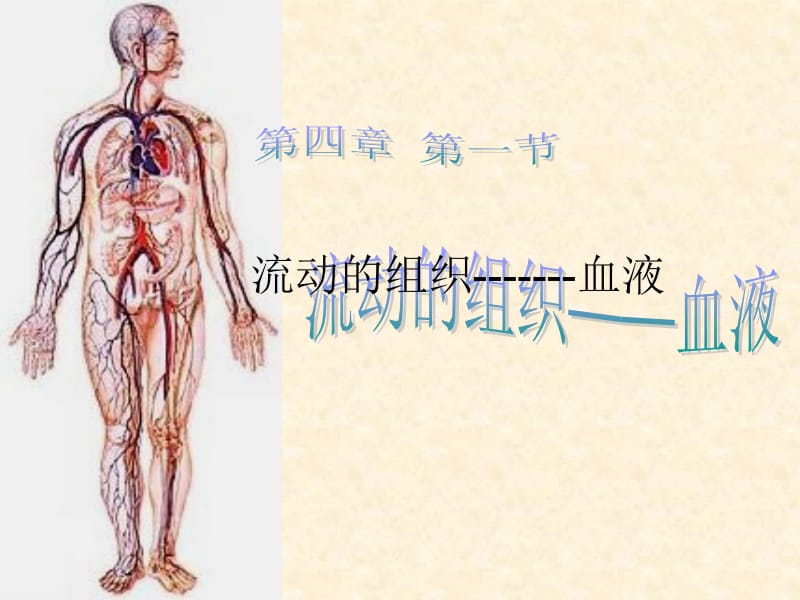 第一节流动的组织血液全.ppt_第1页