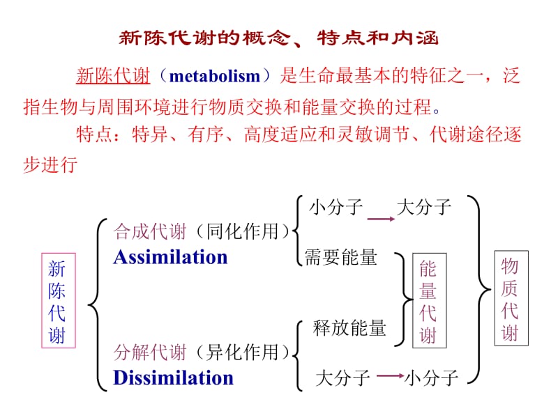 生物化学糖类代谢.ppt_第2页