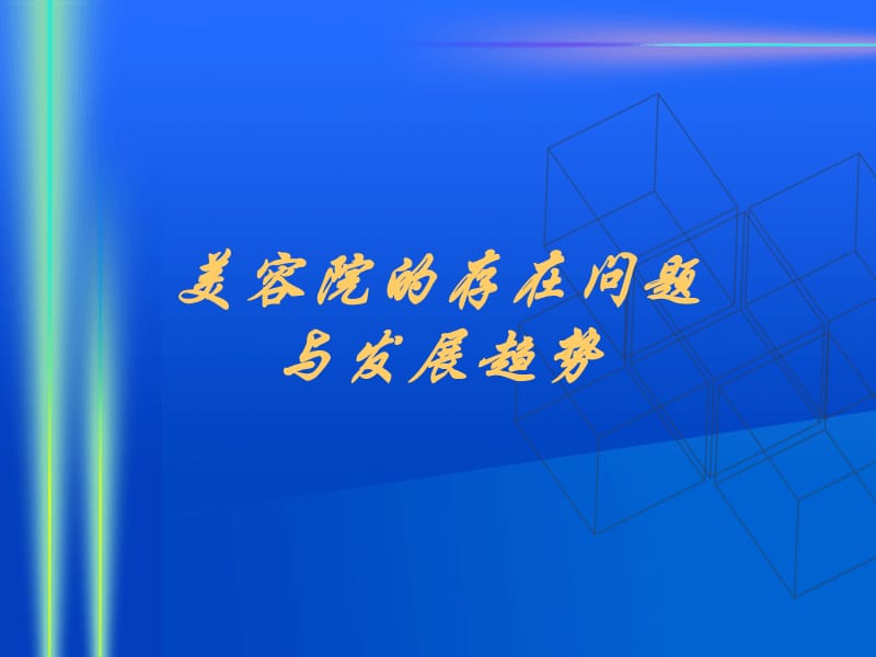 美容院的存在问题与发展趋势.PPT_第1页