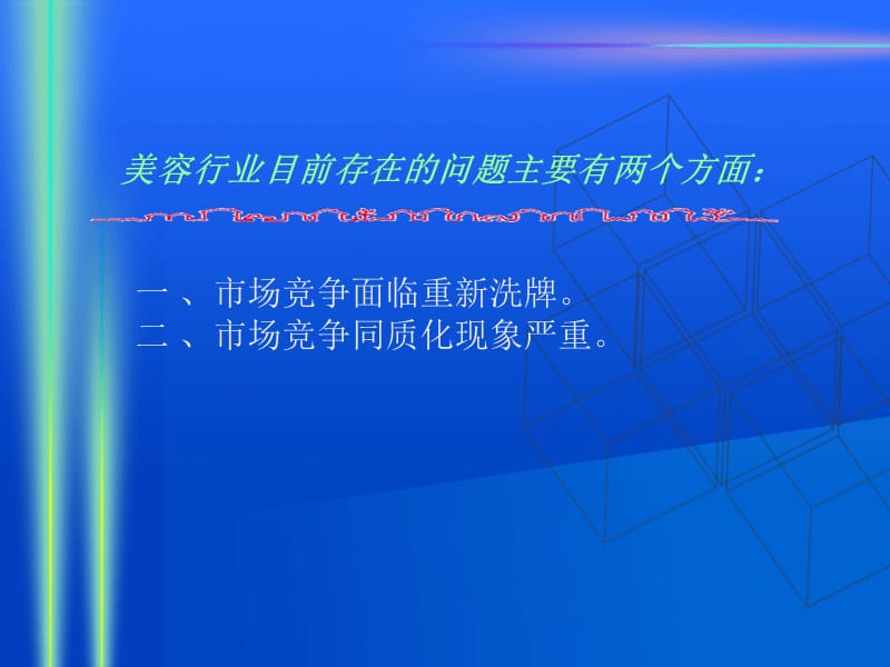 美容院的存在问题与发展趋势.PPT_第2页