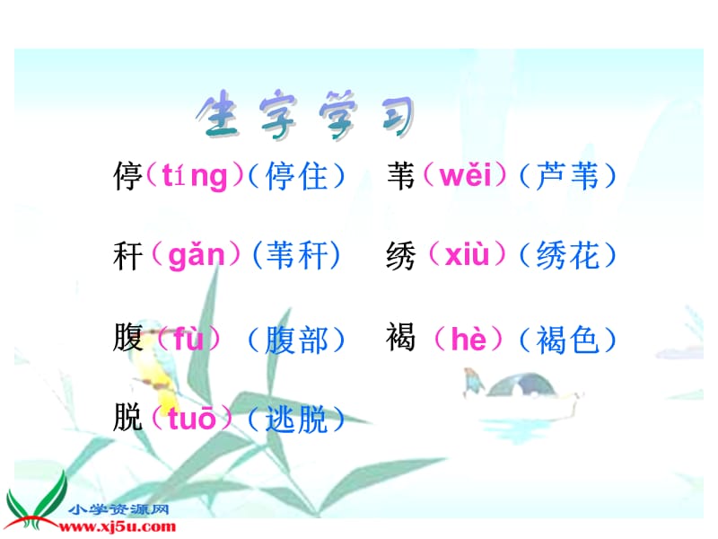 翠鸟课件(1).ppt_第3页