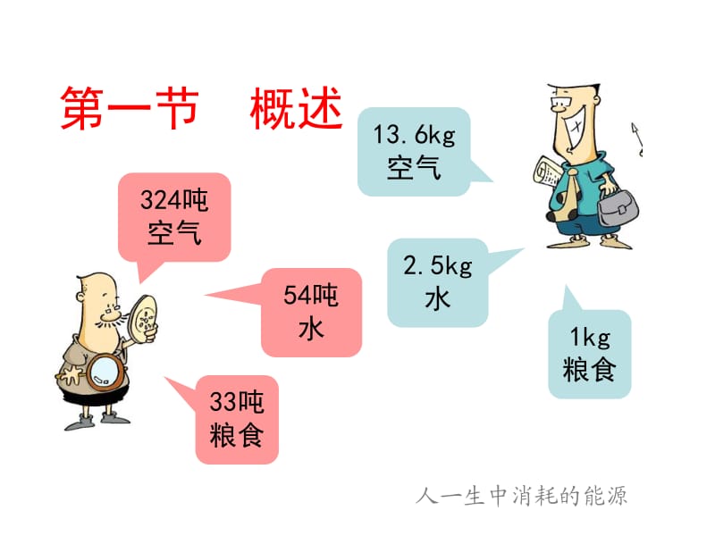 《环境保护概论》-第2章生态环境-2010.ppt_第2页