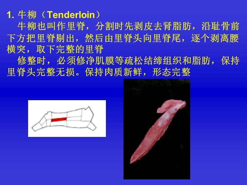 桑国俊肉牛胴体分割技术.PPT_第3页