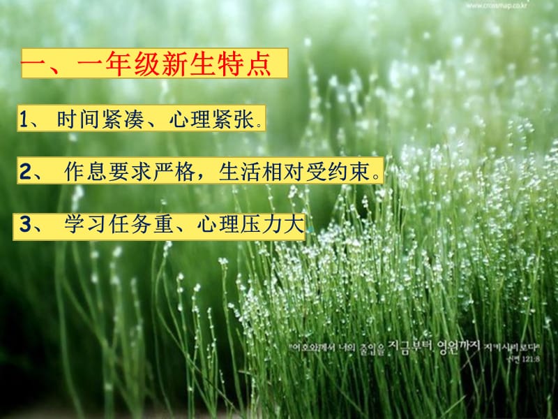 一级班.ppt_第2页