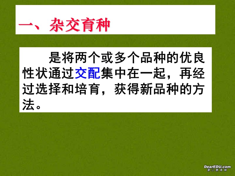 一杂交育种.ppt_第2页