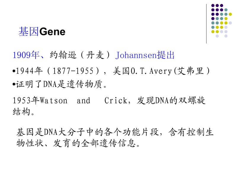 第13章DNA的生物合成——复制MicrosoftPowerPoint演示文稿.ppt_第2页