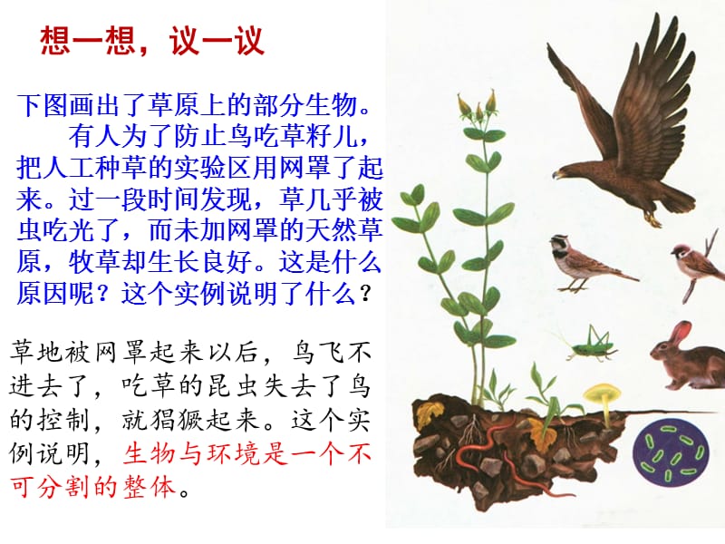 第二节生物与环境组成生态系统.ppt_第3页