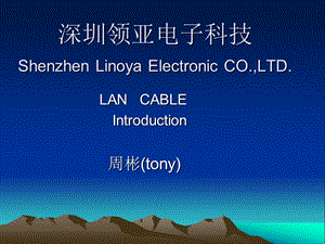 深圳领亚电子科技ShenzhenLinoyaElectronicCOLTD000001.ppt