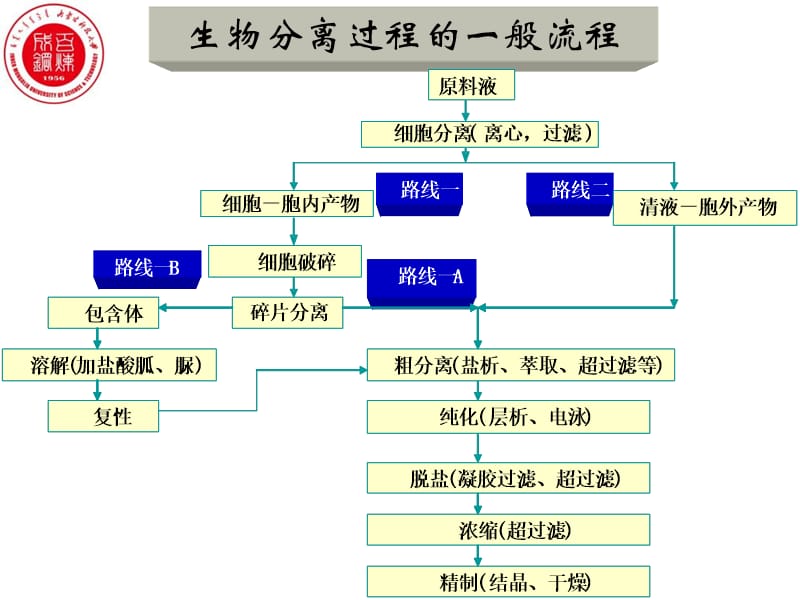 第五章第一节.ppt_第2页