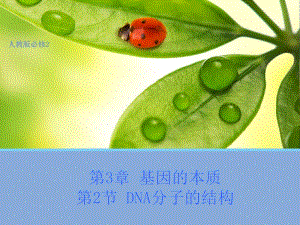 生物32DNA分子的结构课件人教版必修2.ppt