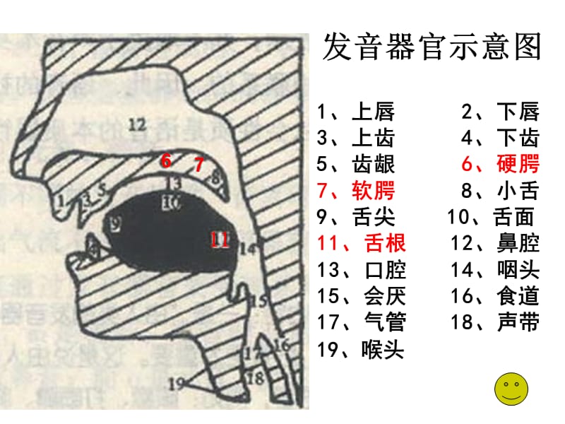 一起来学普通话.ppt_第3页