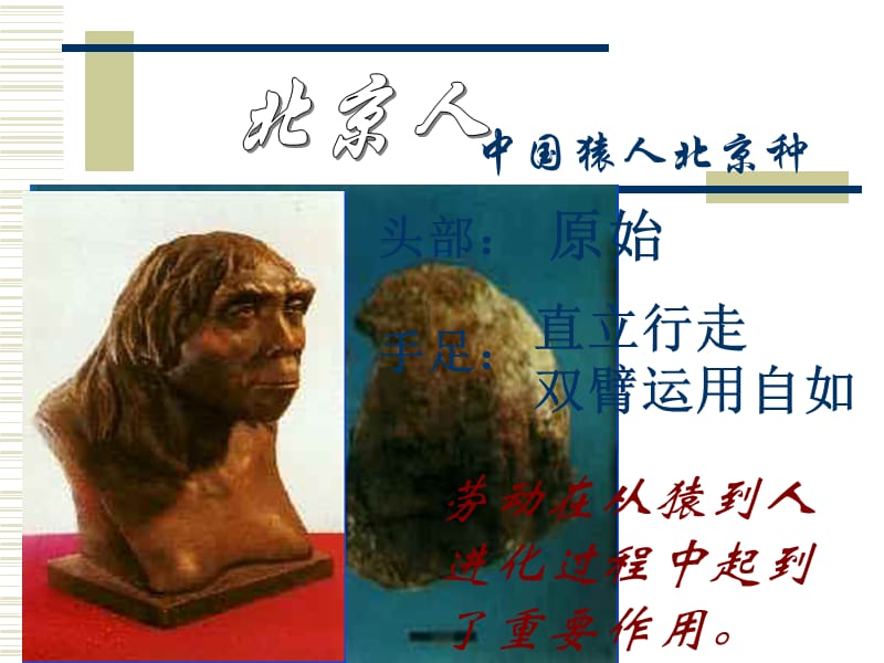 时间170-1020万年前.ppt_第2页