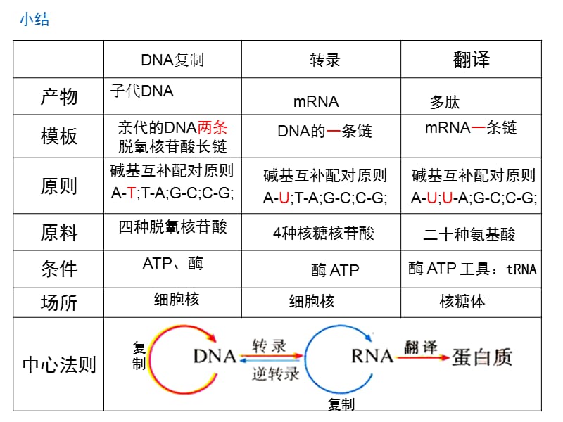 有丝与减数ppt课件.ppt_第1页