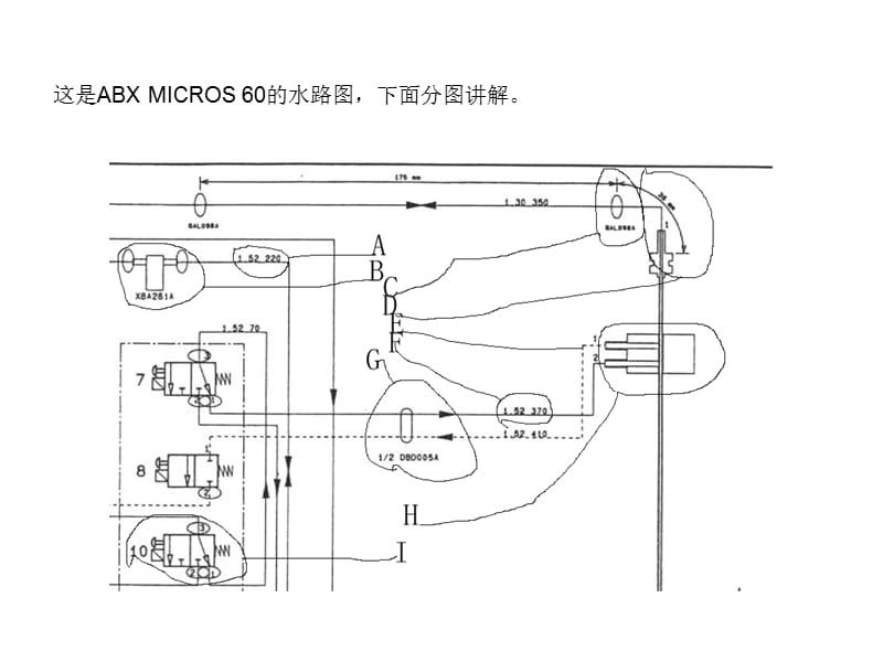 ABXMICROS60水路图.ppt_第2页