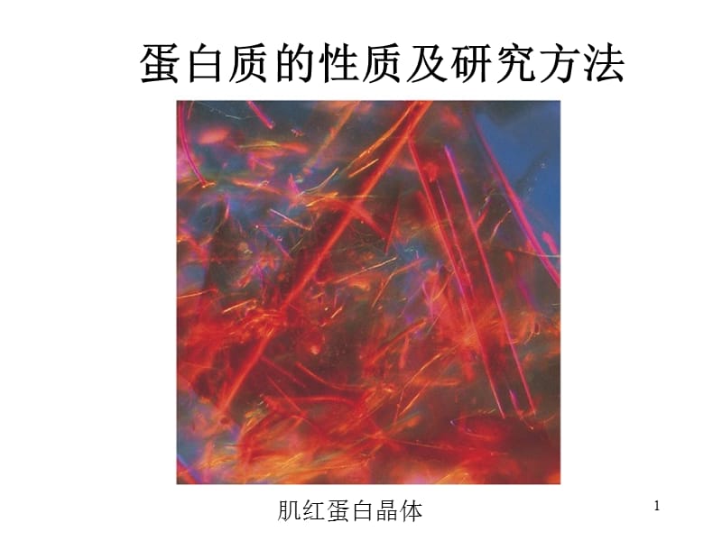 生物化学原理杨荣武蛋白质的结构与功能-第5部分.ppt_第1页