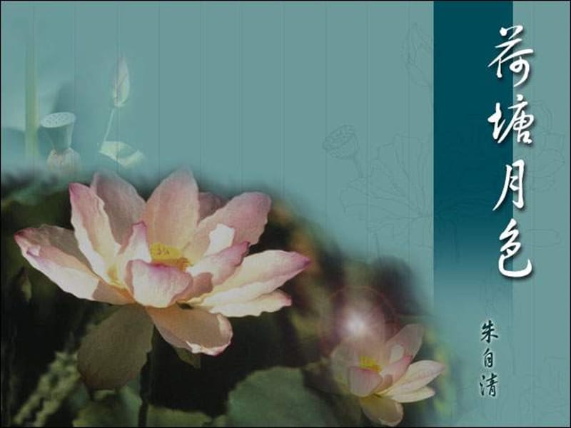 一花一世界.ppt_第1页