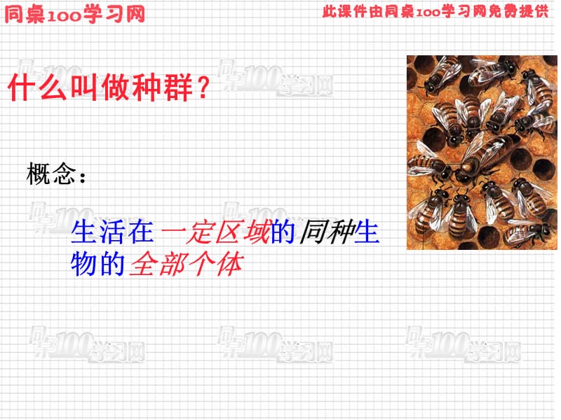 一节种群的特征.ppt_第2页