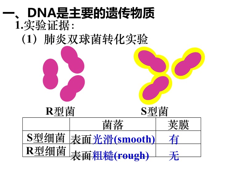 学业水平测试复习—第三章基因的本质.ppt_第2页