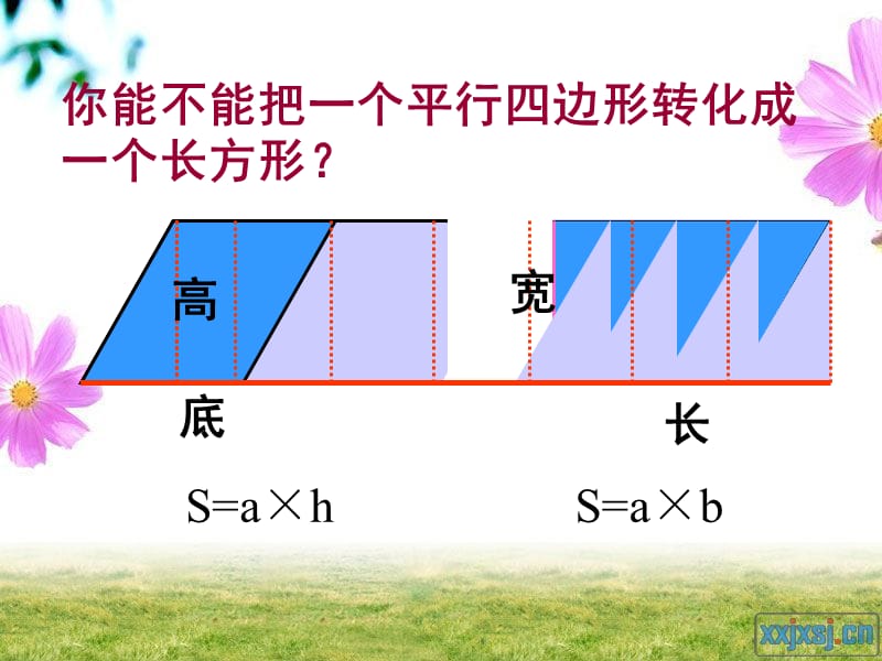 第六单元整理与复习课件.ppt_第3页