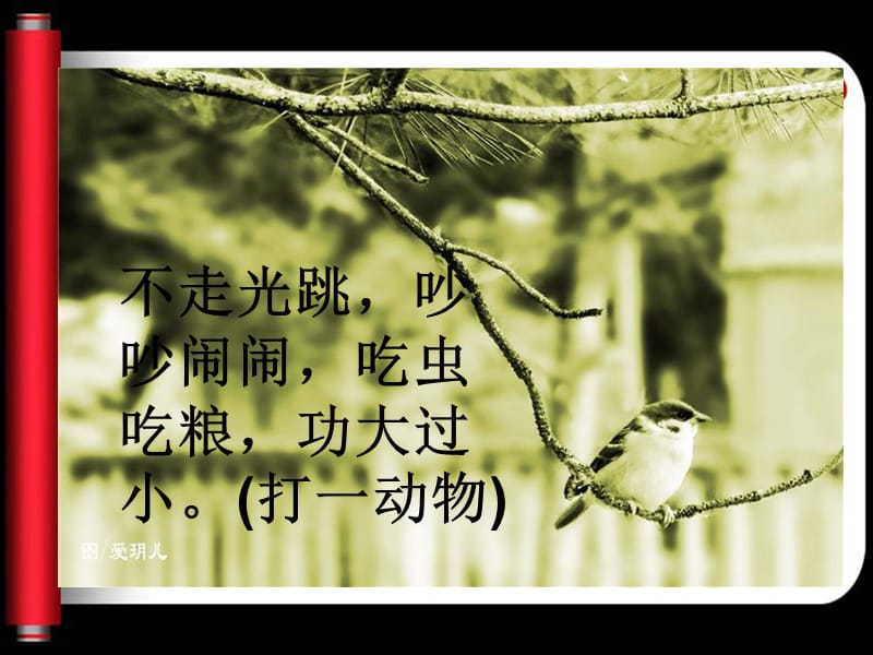 隔窗看雀（霞）.ppt_第1页