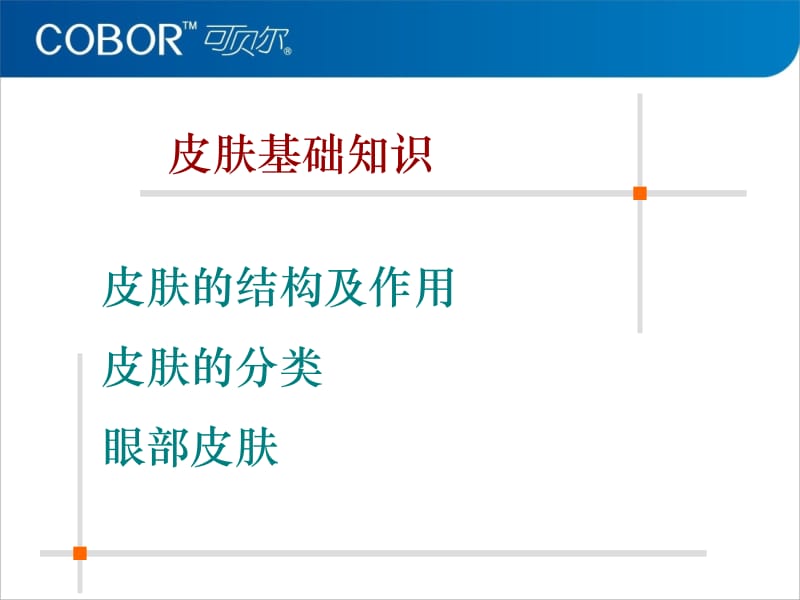 皮肤基础知识培训讲座20101220.ppt_第2页